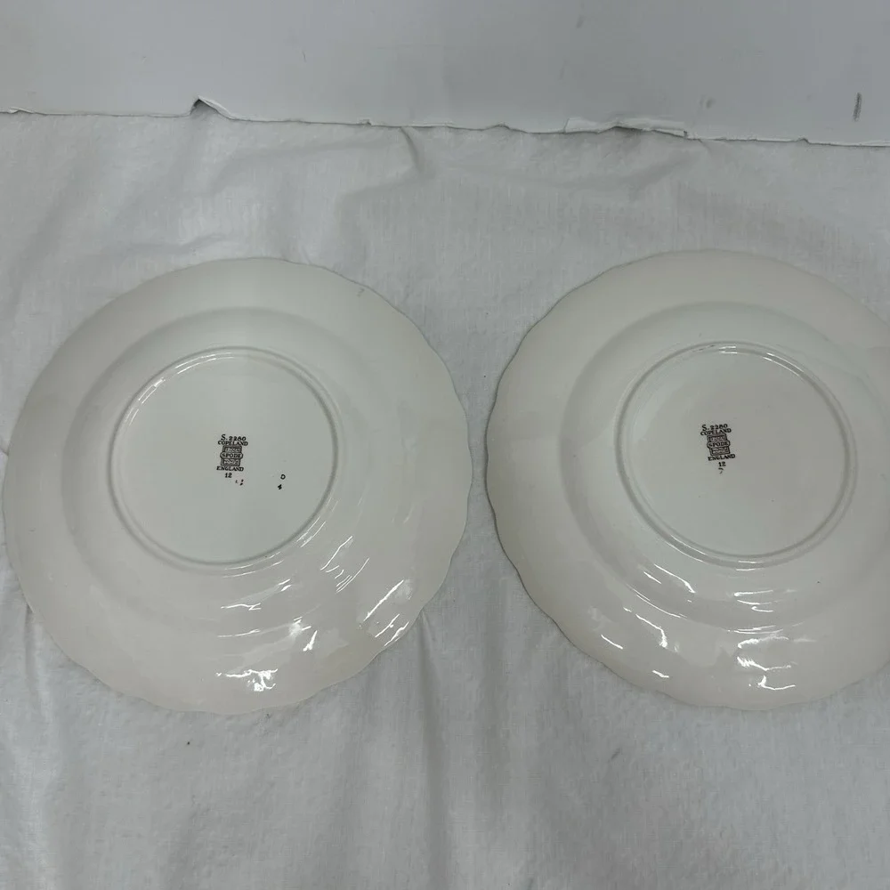 Set/2 Copeland Spode Alden J Price Embossed Daisy Border Fruit Flower #12 Plates